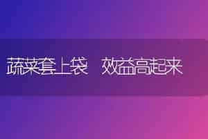 橙类品种－－清家脐橙