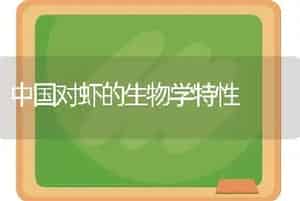 中国对虾的生物学特性
