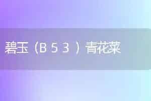 碧玉（B53）青花菜