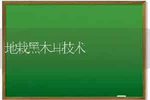 地栽黑木耳技术