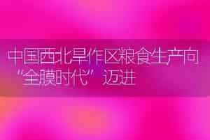 中国西北旱作区粮食生产向“全膜时代”迈进