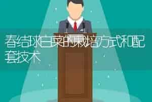 春结球白菜的栽培方式和配套技术