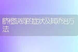 脐橙缺铜的症状及其矫治方法