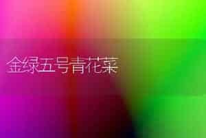 金绿五号青花菜