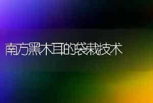 南方黑木耳的袋栽技术