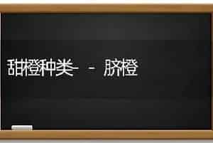 甜橙种类--脐橙