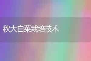 秋大白菜栽培技术