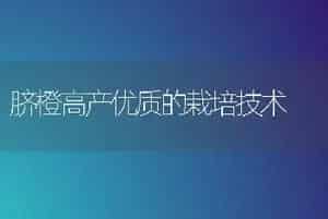 脐橙高产优质的栽培技术