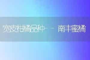 绿峰青花菜栽培技术要点
