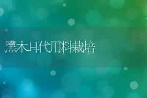 黑木耳代用料栽培