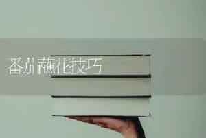 番茄蘸花技巧