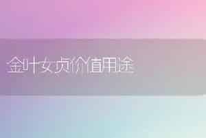 金叶女贞价值用途