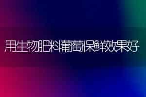 介绍两个早熟大白菜品种
