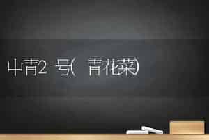 中青2号(青花菜)