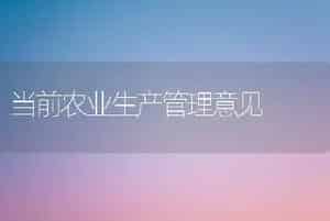 大棚番茄平菇间作技术