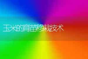 地栽黑木耳采后的管理五方法