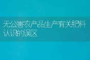栽培荷花的管理方法