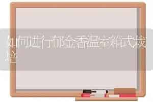 如何进行郁金香温室箱式栽培