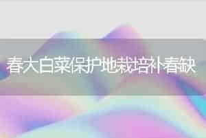 春大白菜保护地栽培补春缺