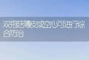 桂花盆景养护管理