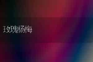 玫瑰杨梅