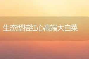 生态型桔红心高端大白菜