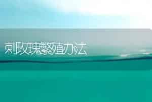 刺玫瑰繁殖办法