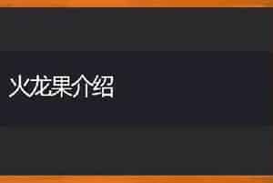 含羞草栽培养护技术-花木栽培技术