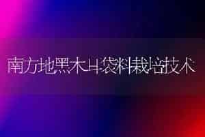 南方地黑木耳袋料栽培技术
