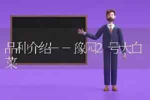 品种介绍--豫园2号大白菜