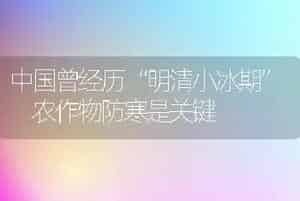 中国曾经历“明清小冰期” 农作物防寒是关键
