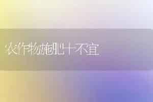 夏季移植桂花大树要领