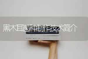 黑木耳菌种制作技术简介