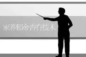 家养郁金香有技术