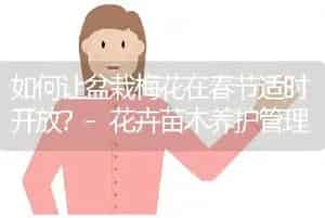让荷花四季开放的技术