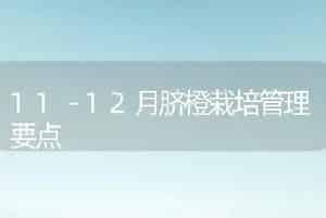 11－12月脐橙栽培管理要点
