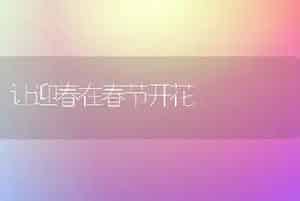 秋大白菜高产优质栽培要点