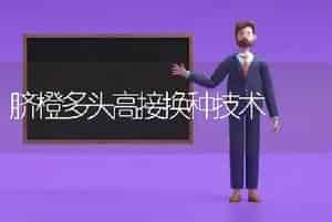 脐橙多头高接换种技术