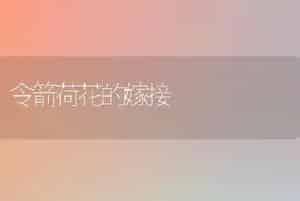 令箭荷花的嫁接