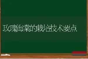玫瑰海棠的栽培技术要点