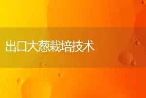 出口大葱栽培技术