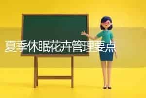 保护地番茄世纪星栽培技术要点