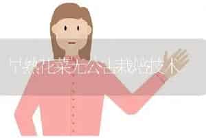 早熟花菜无公害栽培技术