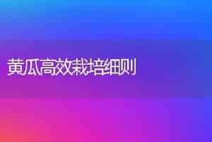 郁金香促成栽培的管理技术