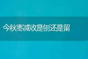 脐橙多头高接换种的技术