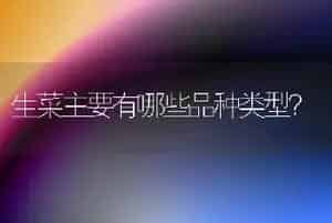 生菜主要有哪些品种类型？