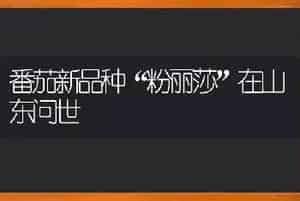 番茄新品种“粉丽莎”在山东问世