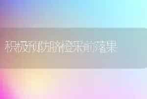 积极预防脐橙采前落果