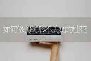 如何修剪树形不美观的桂花