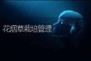 灵芝、猴头、黑木耳的采收与加工